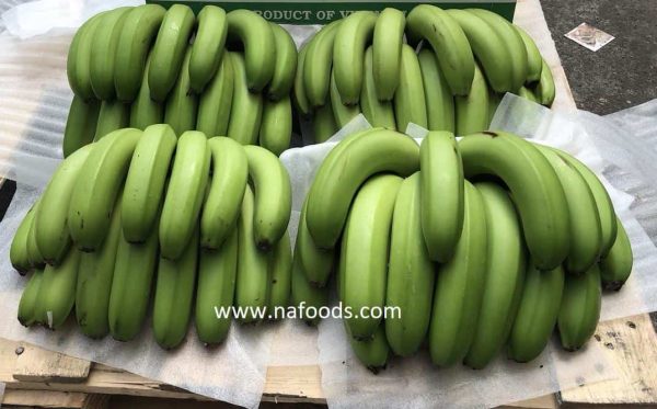 Fresh Banana - Chuối tươi - 新鲜香蕉