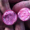 Purple Flesh Sweet Potato - Khoai Lang Tím - 紫皮地瓜