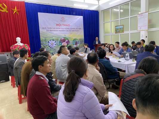 Ghi nhận tại hội thảo giới thiệu và đánh giá các giống chanh leo mới do Nafoods nghiên cứu và sản xuất